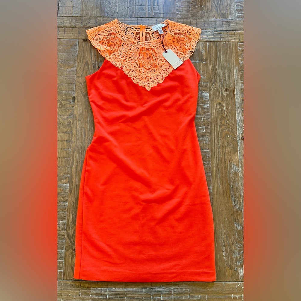 Ted Baker Designer Orange Dress with Floral Lace Collar, Size 1 (US 4), NEW